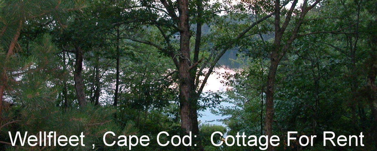 Long Pond, Wellfleet