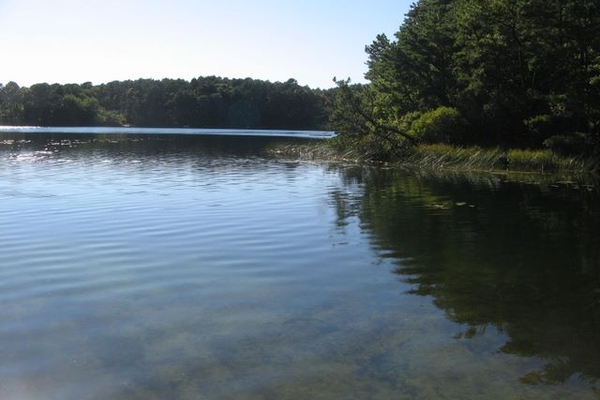 Pond view from the dock