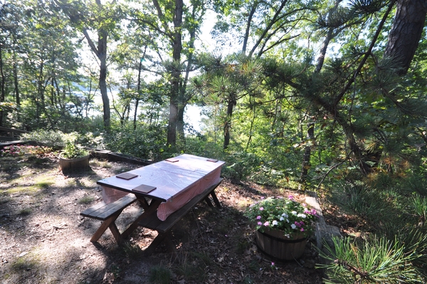 Patio with barbeque grill looking out towards the pond 